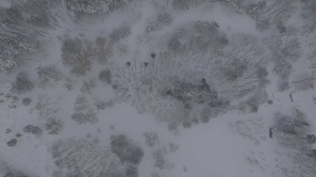 航拍公园雪景 10