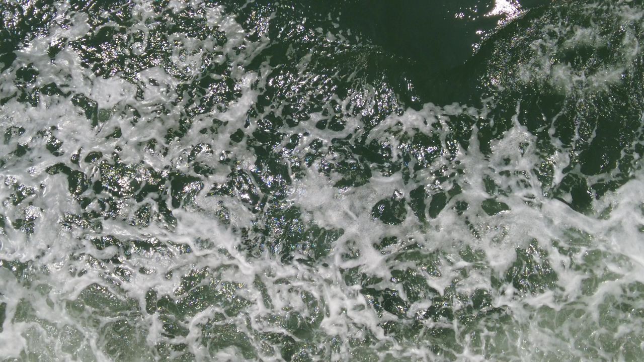 蓝色海洋大海海鸥船只实拍 
