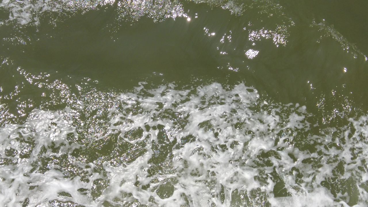 蓝色海洋大海海鸥船只实拍 