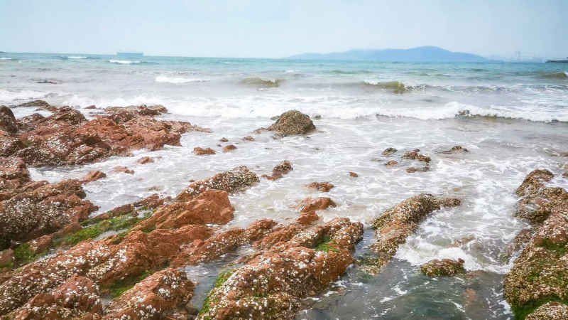 大海海浪
