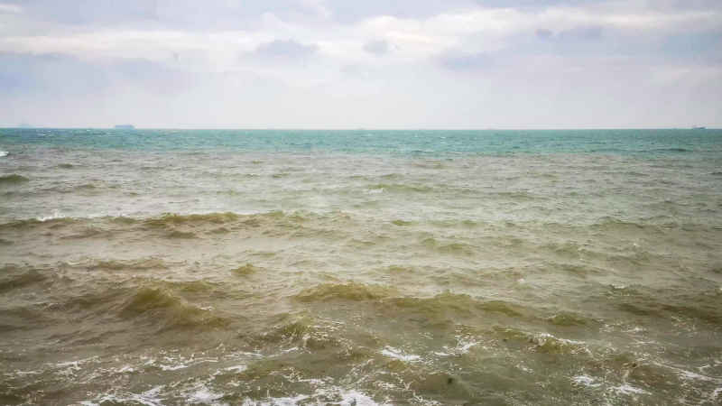 大海海洋沙滩礁石风景航拍摄影图 