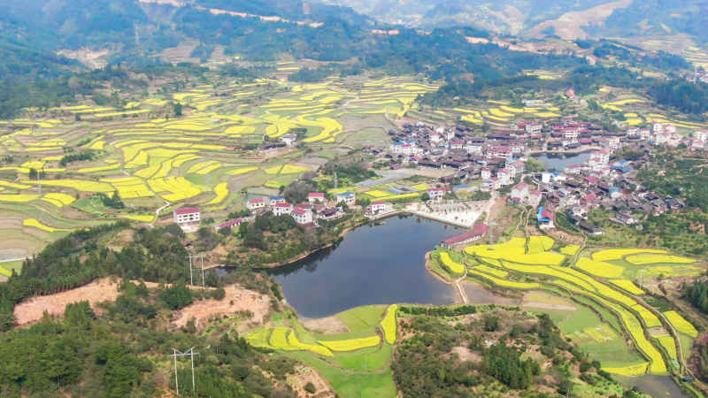 美丽乡村