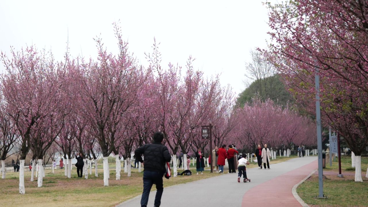 公园游玩 7