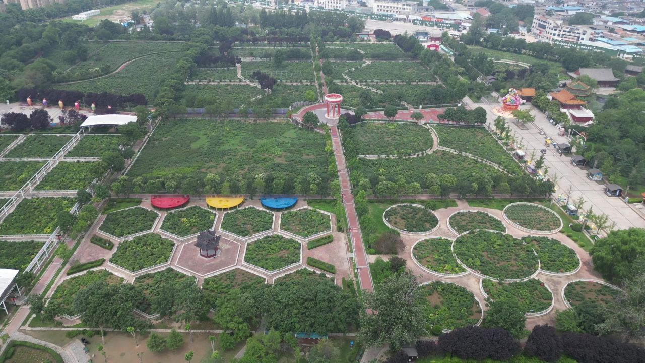  航拍山东菏泽曹州牡丹园4a景区
