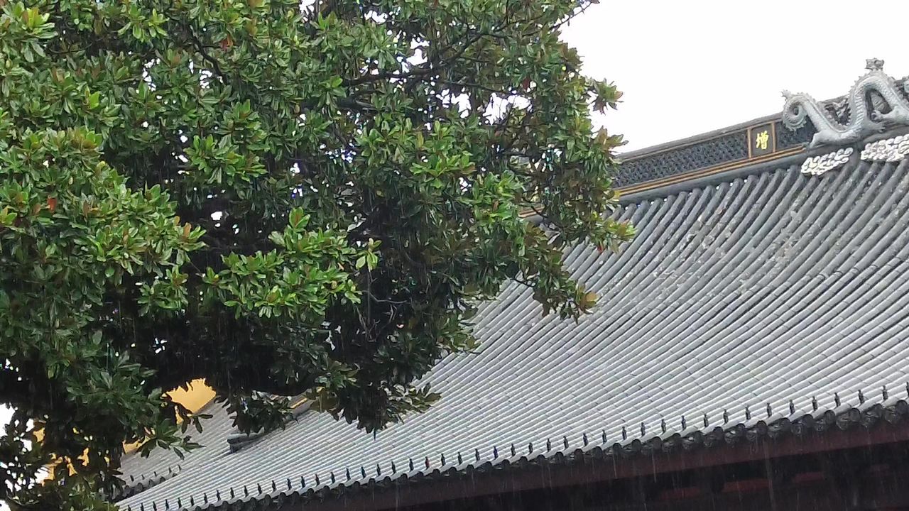 江苏苏州下雨素材实拍