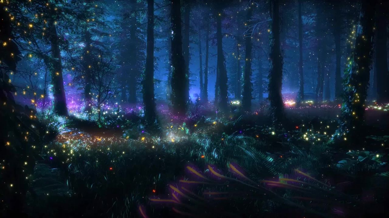 梦幻森林视频素材 48