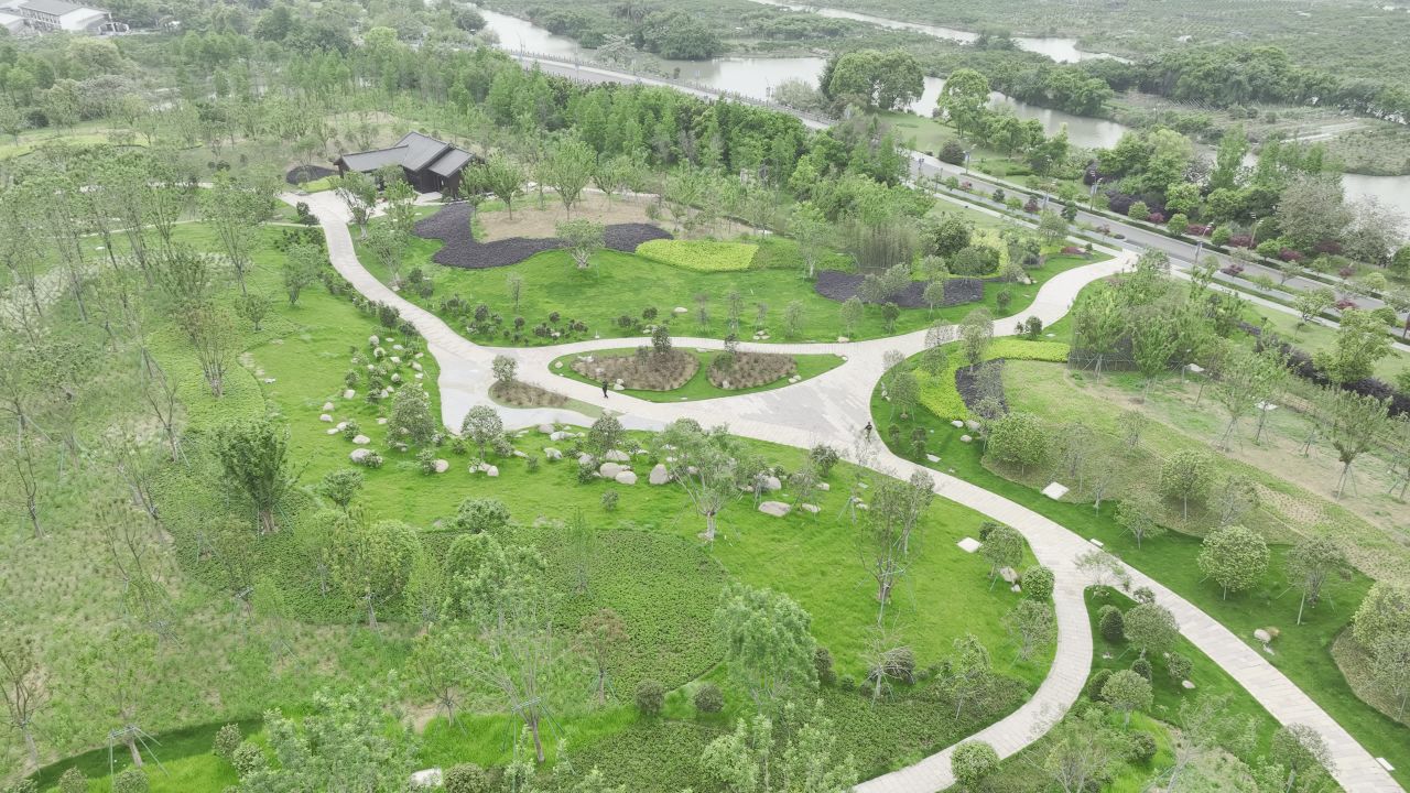 温州三垟湿地东入口航拍景观 14