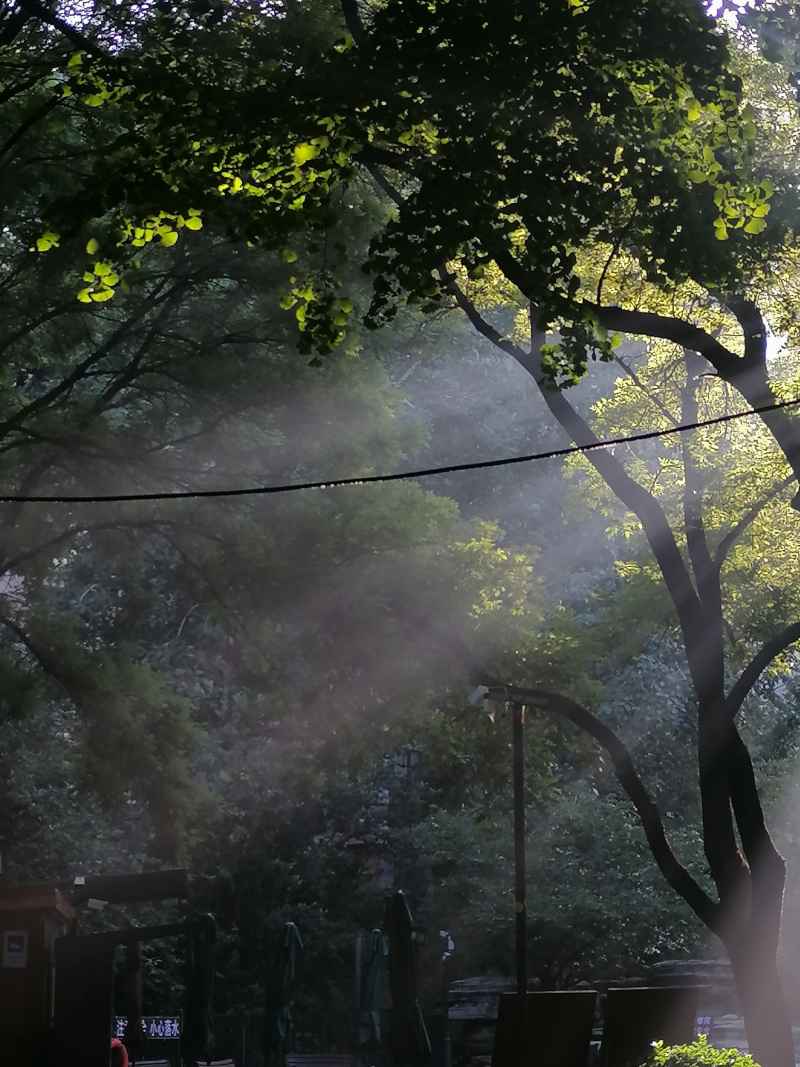 晨曦
