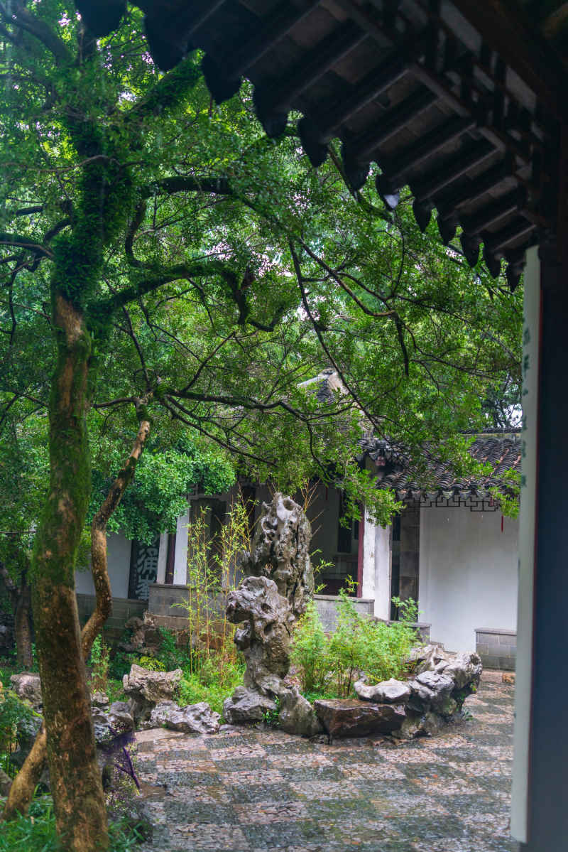 江南水乡 9
