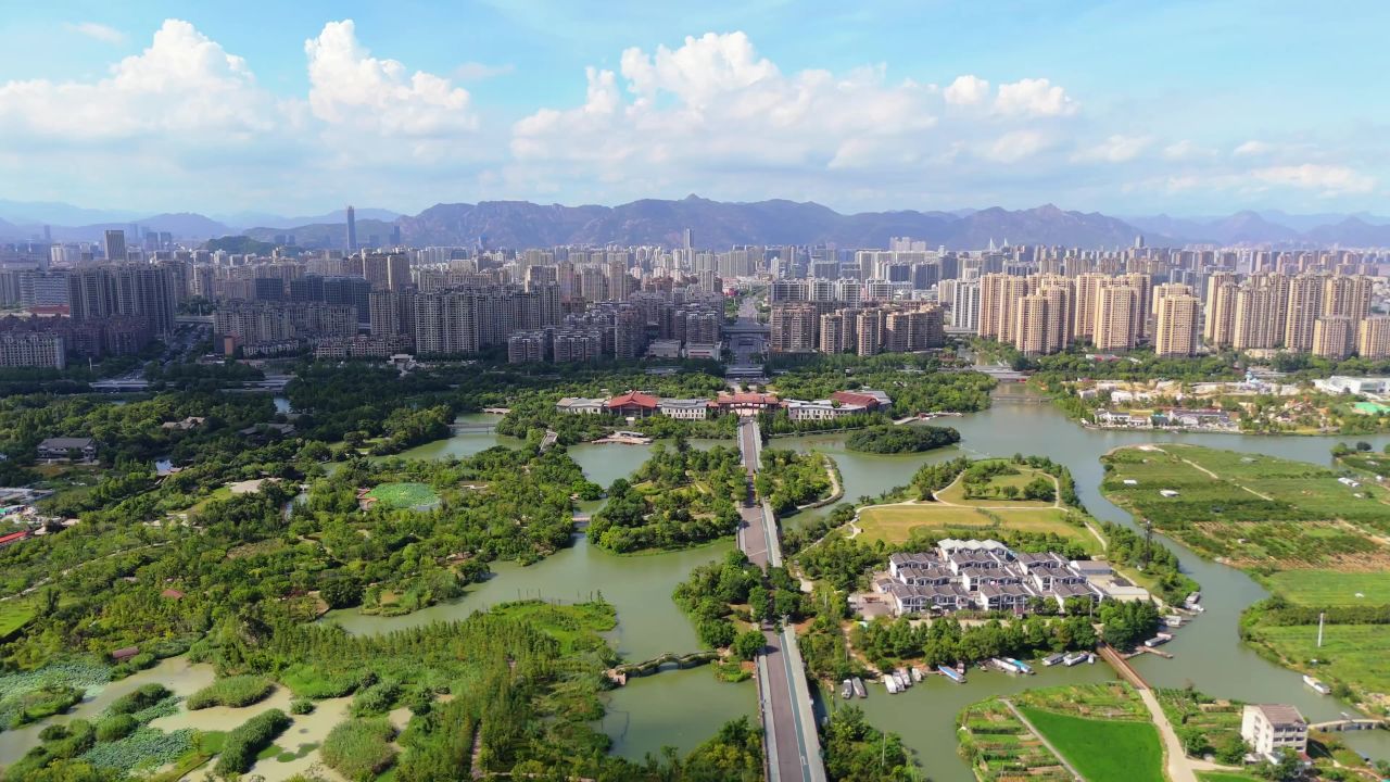 温州三垟湿地 8