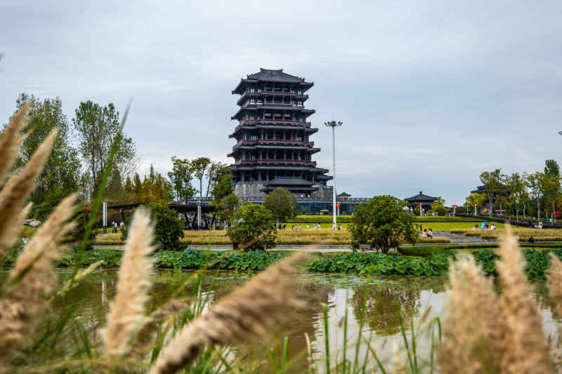 江边美景 8