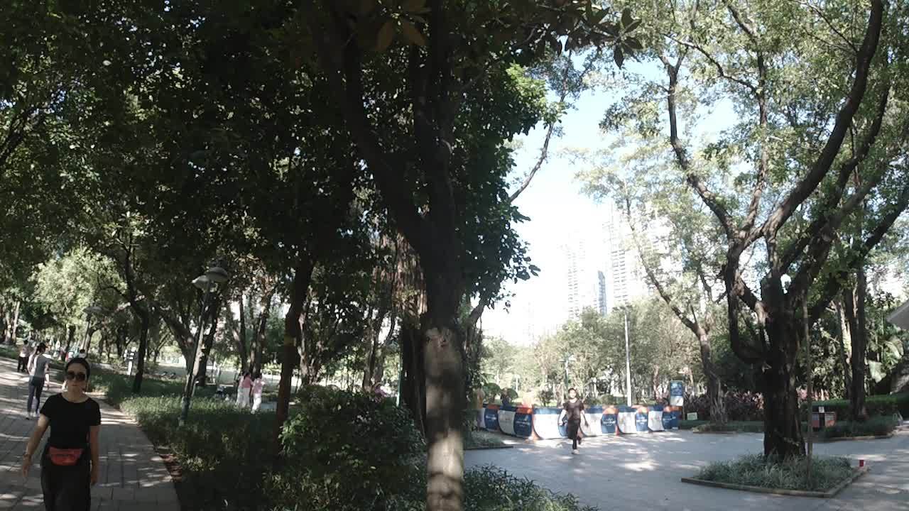 公园 20