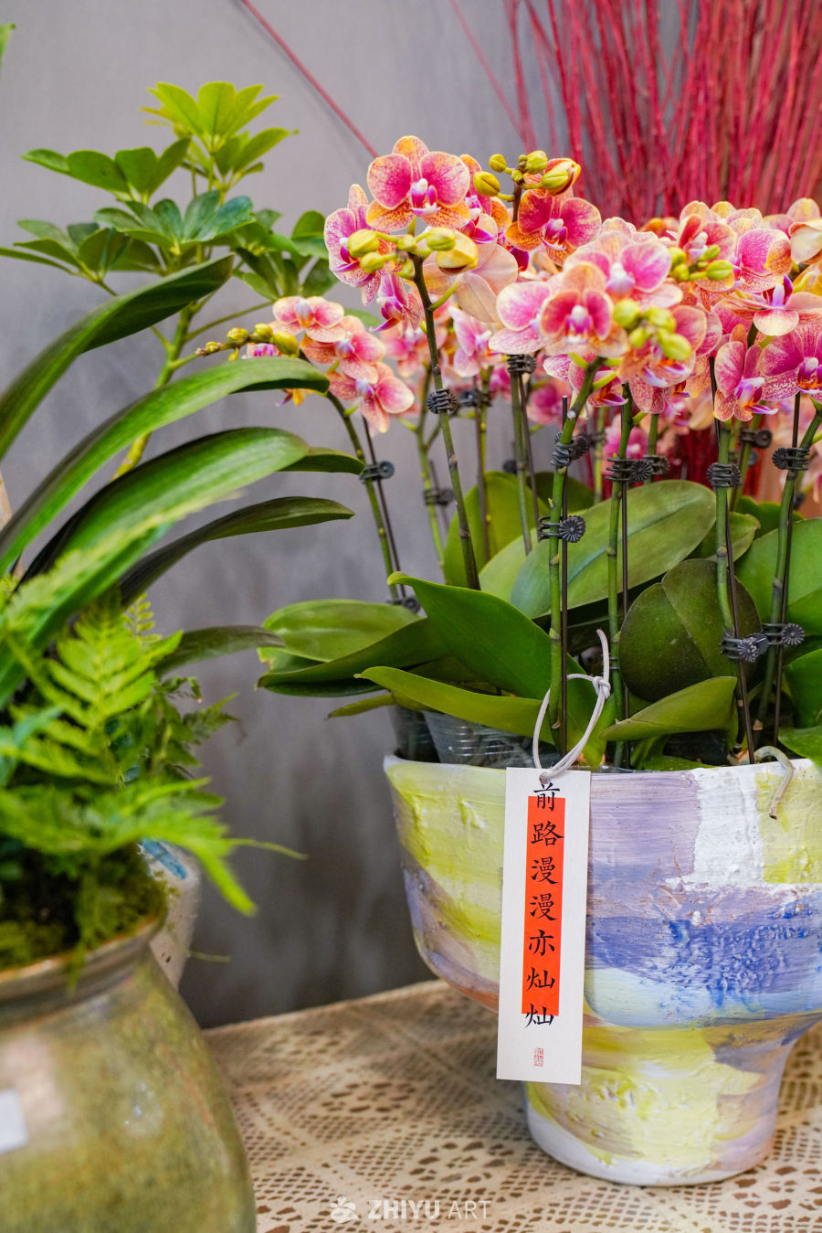 新春花店里的美好 6
