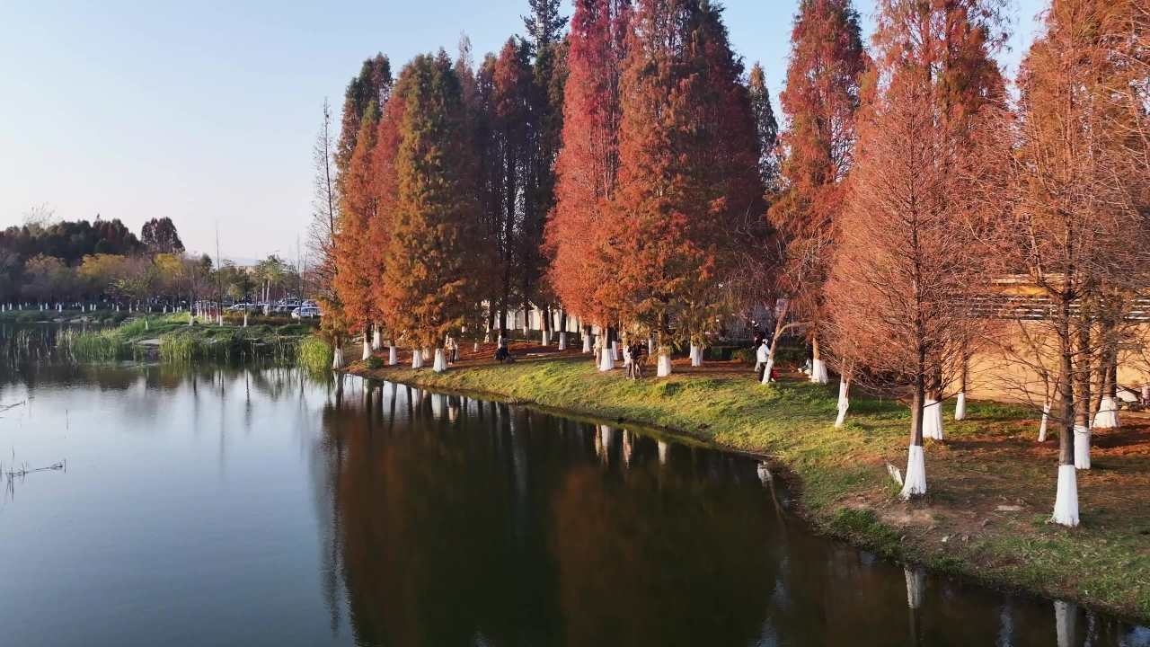 4k航拍云南昆明海洪湿地公园