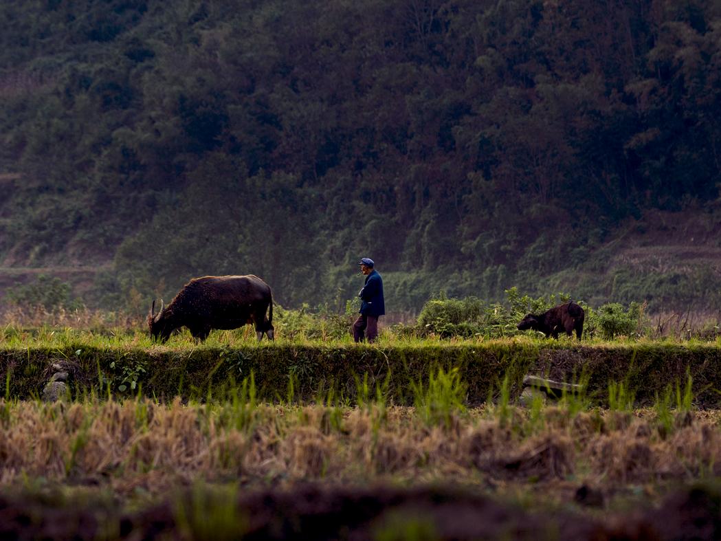 LUTS Effect