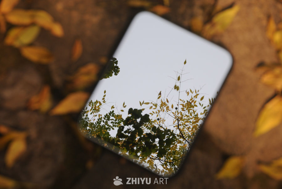 一镜知秋 1