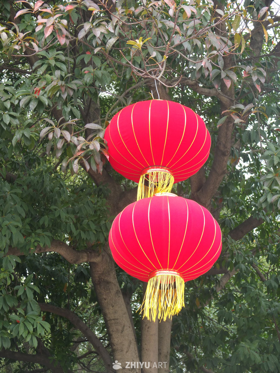公园 25