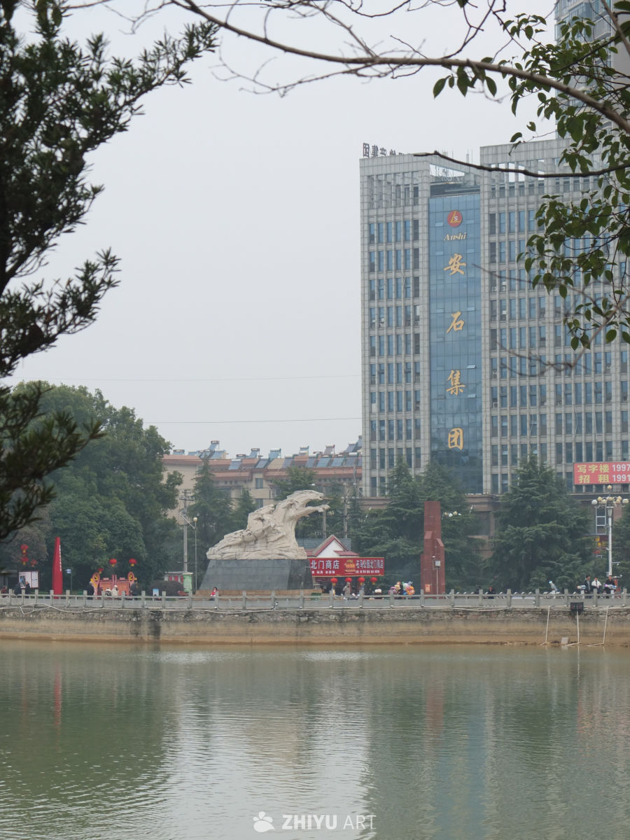 划船 16