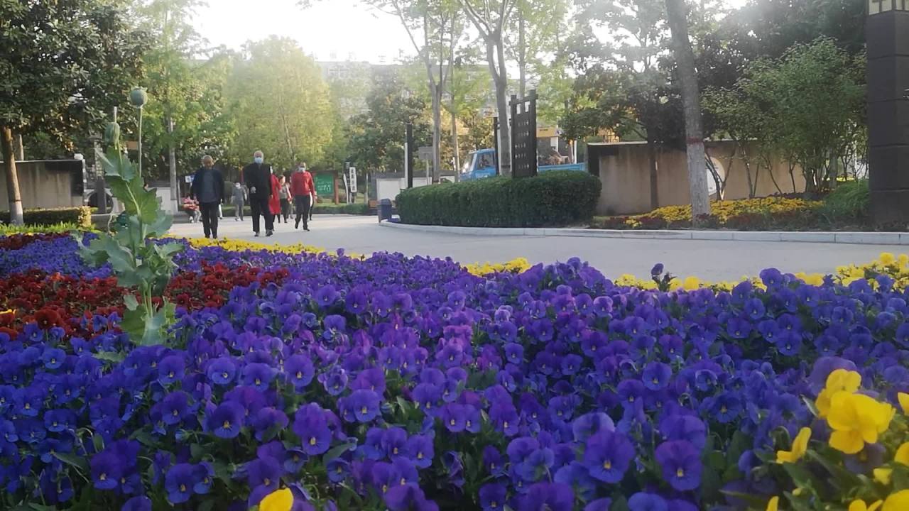花海中的悠闲时光