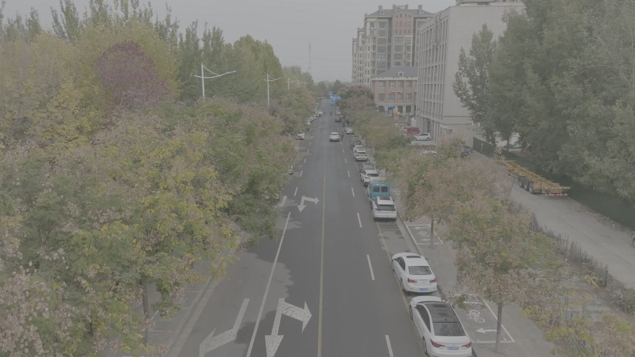 城市绿洲