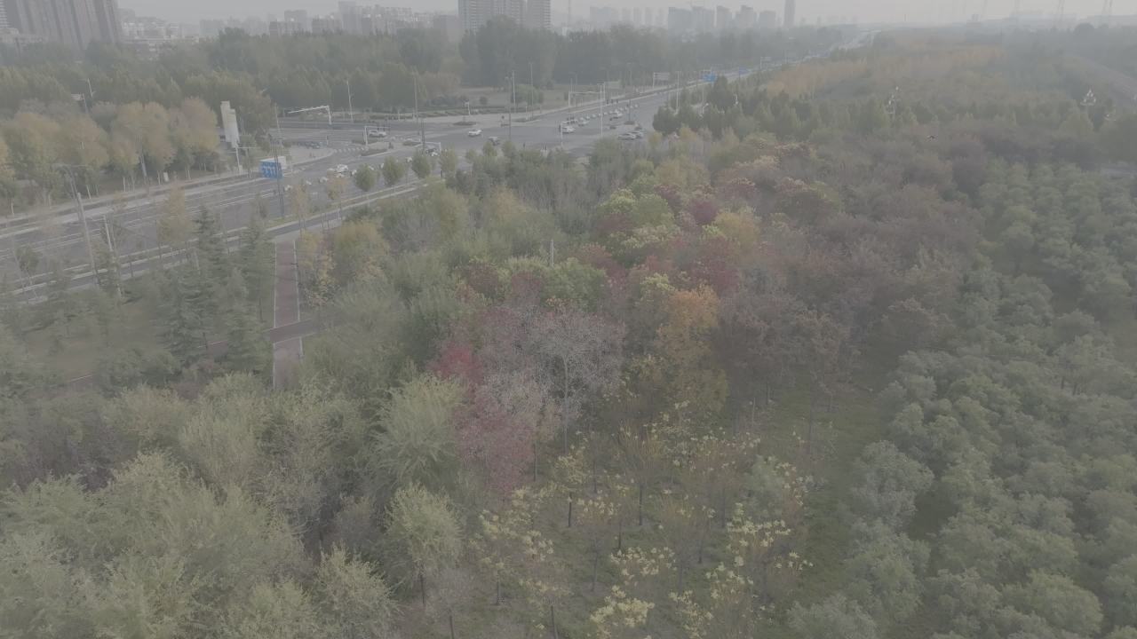城市秋景