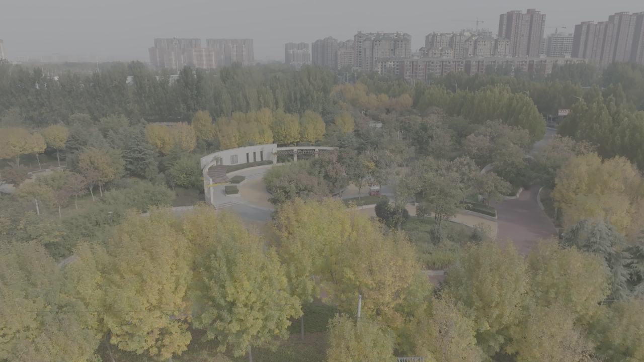 城市中的绿洲
