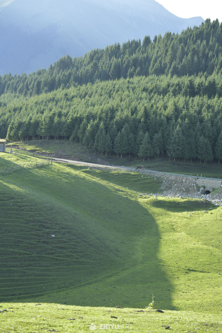 山间小路