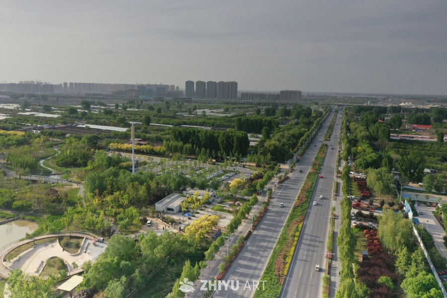 城市绿道与建筑群