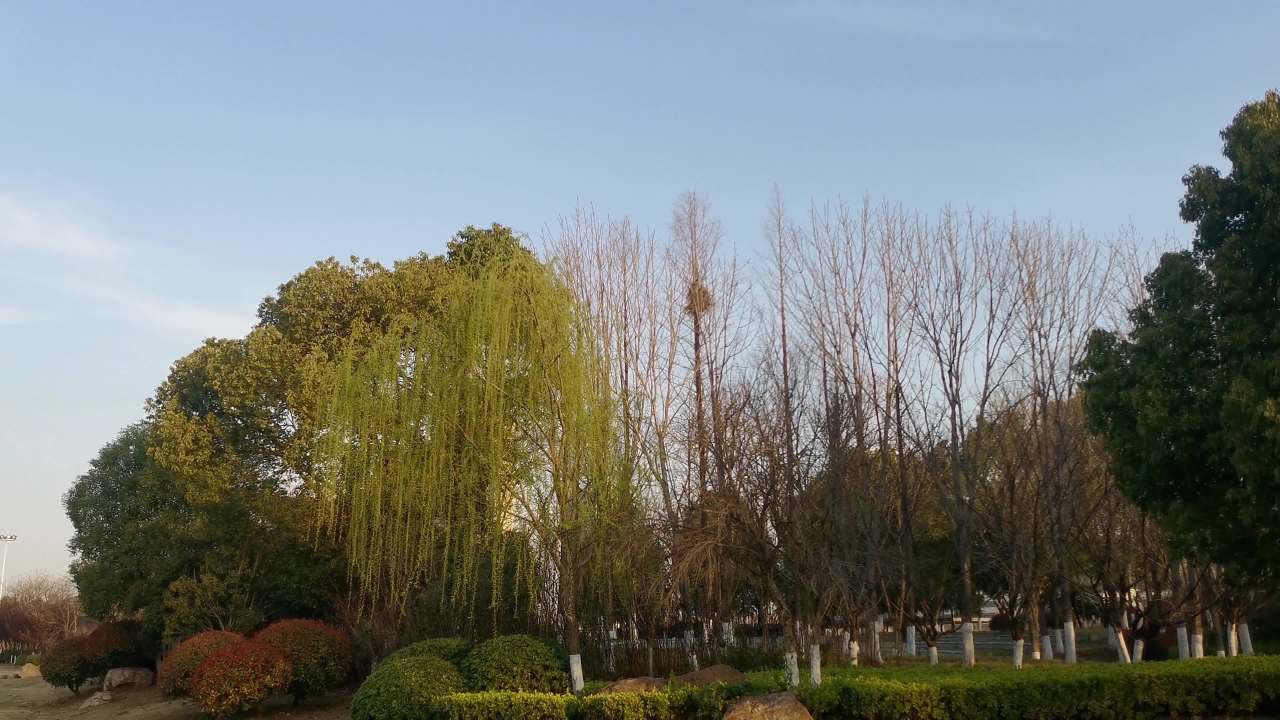 安逸的清晨