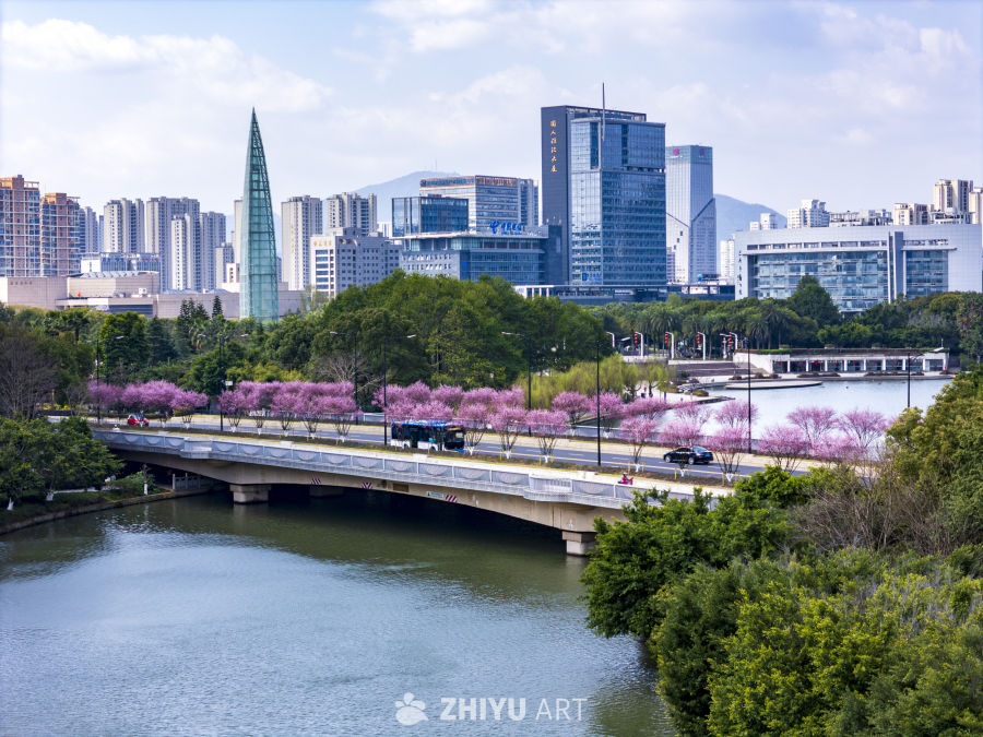 城市与自然的和谐共存