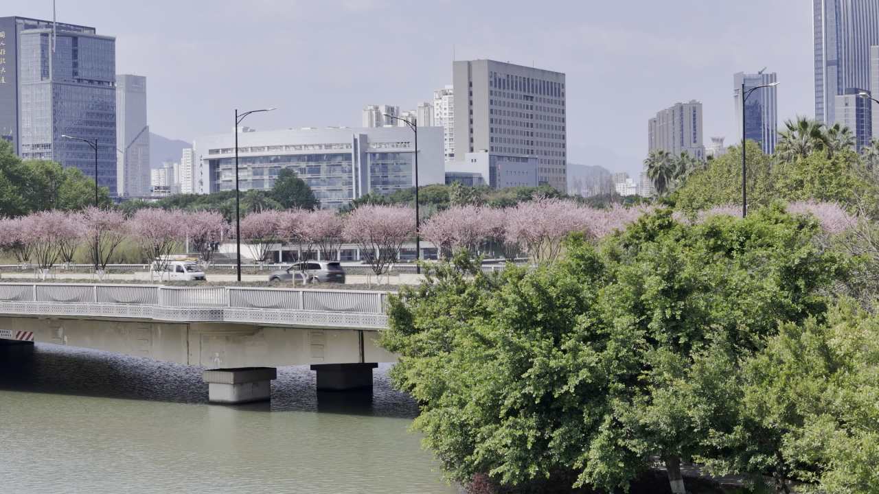 城市河畔的春天