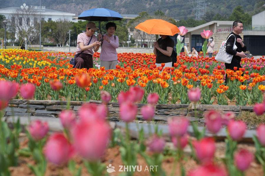 春日花海赏花游