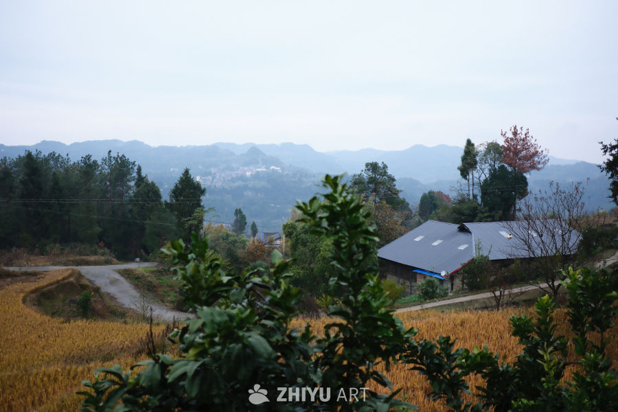 乡村