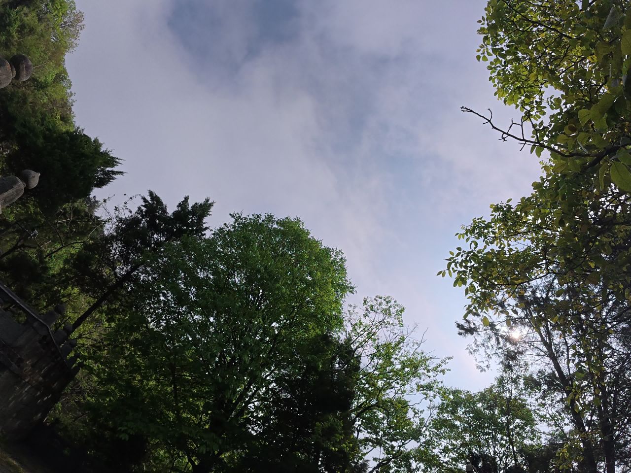登山步道的静谧时光