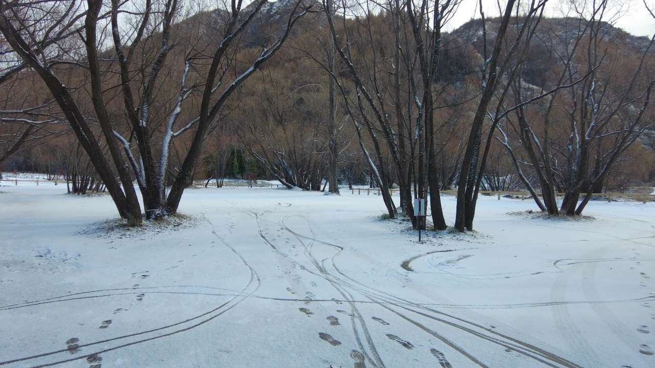冬天在新西兰皇后镇附近的箭镇森林雪地里行走 1