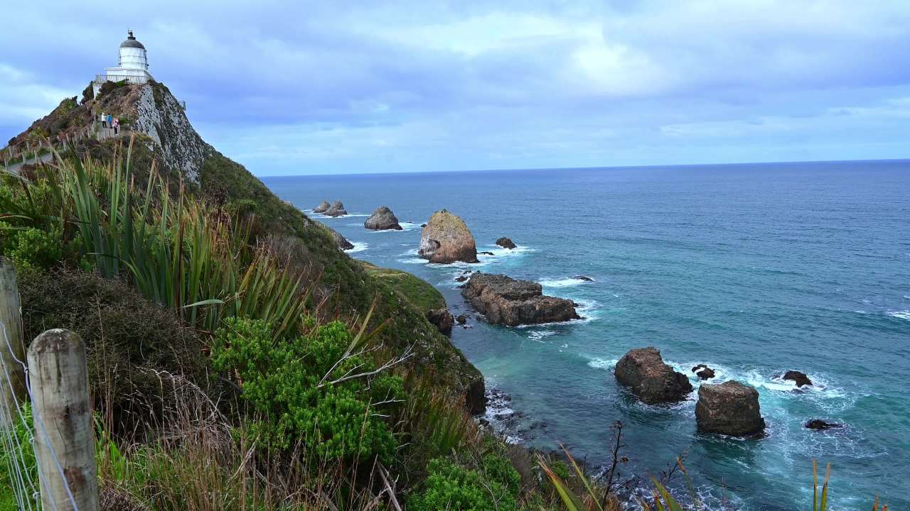 新西兰南岛努盖特灯塔旁大海里的礁石海浪 1