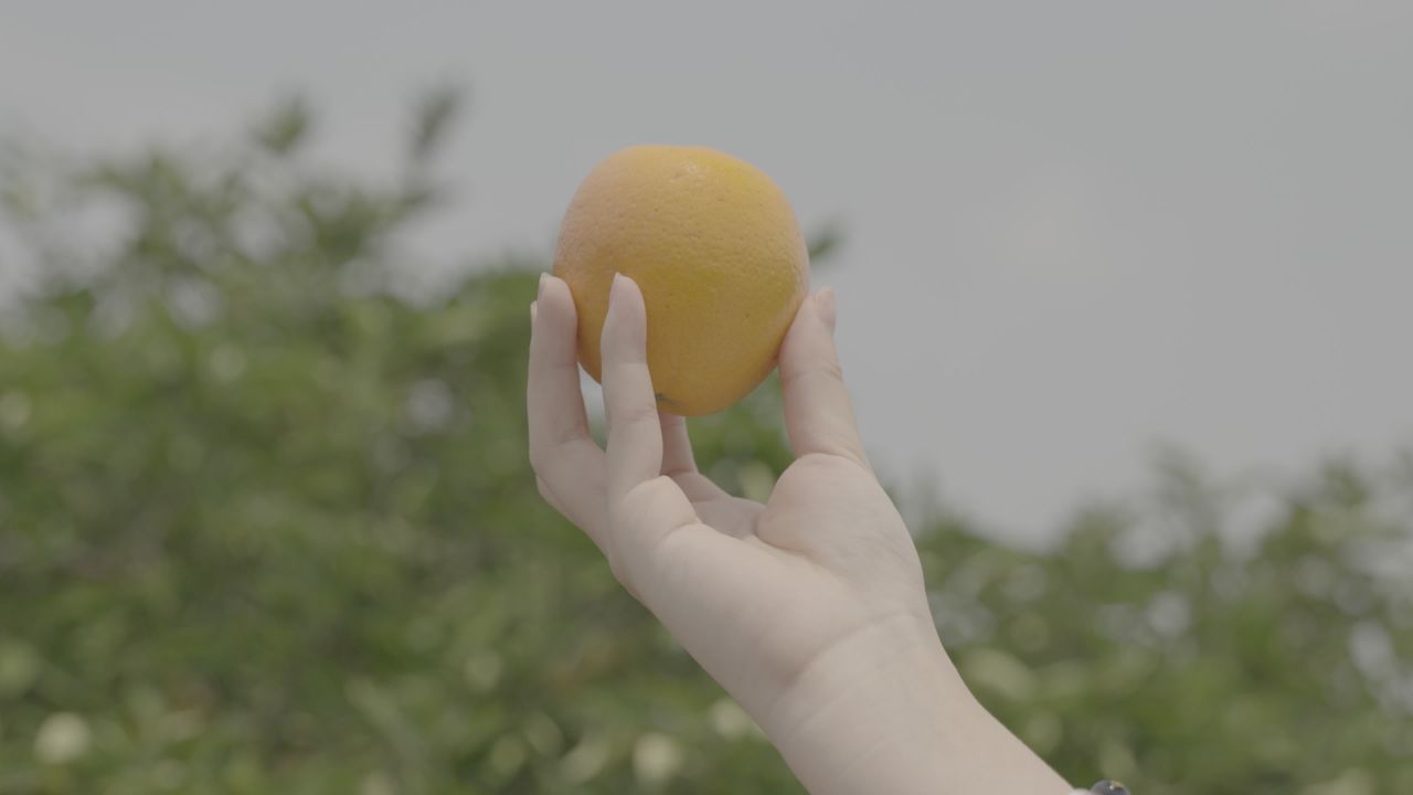 手捧橙子的宁静时光