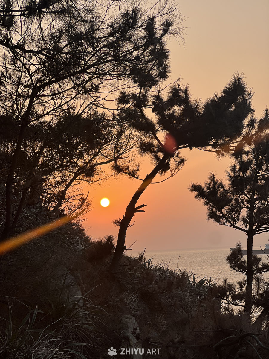 夕阳 27