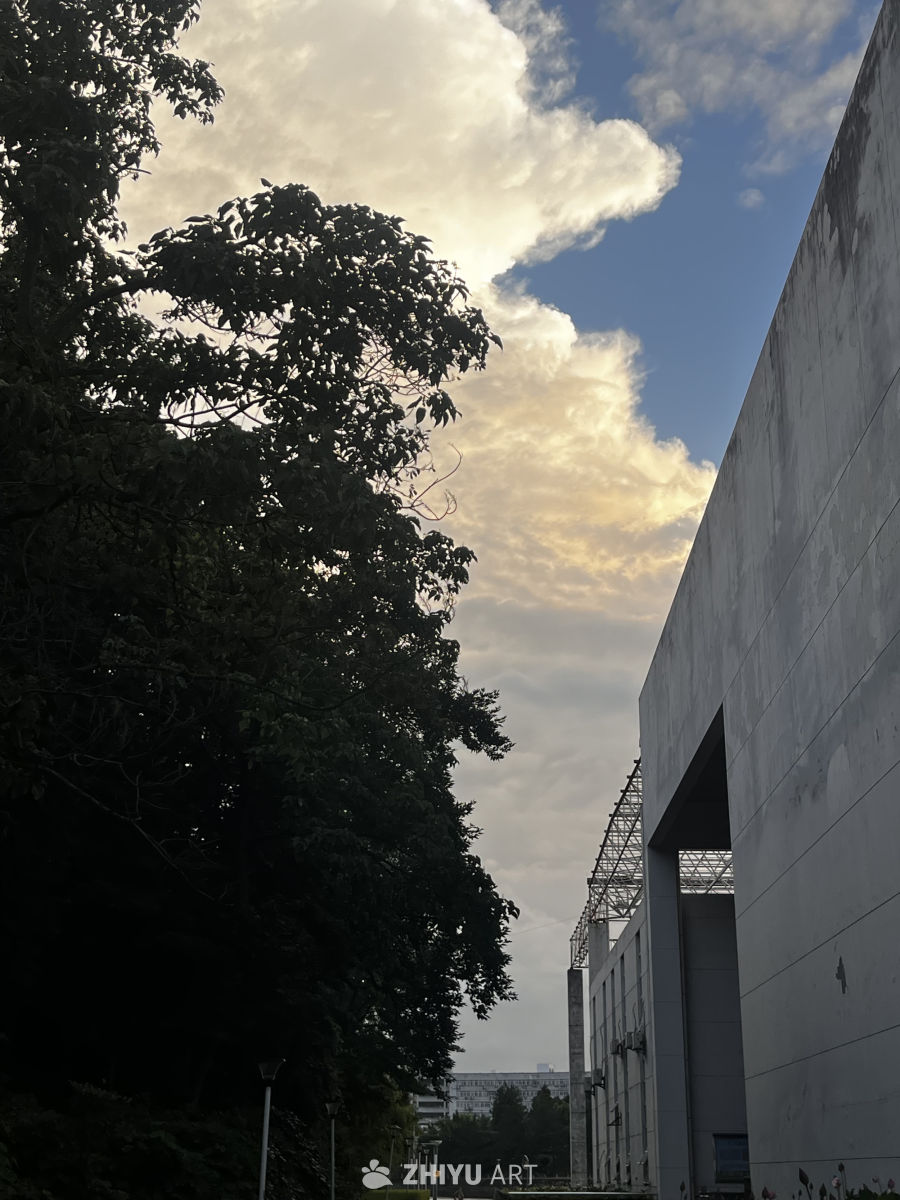 树影下的城市黄昏