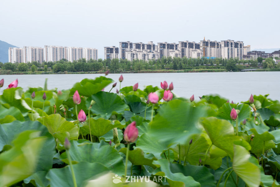 夜色下的大桥 7