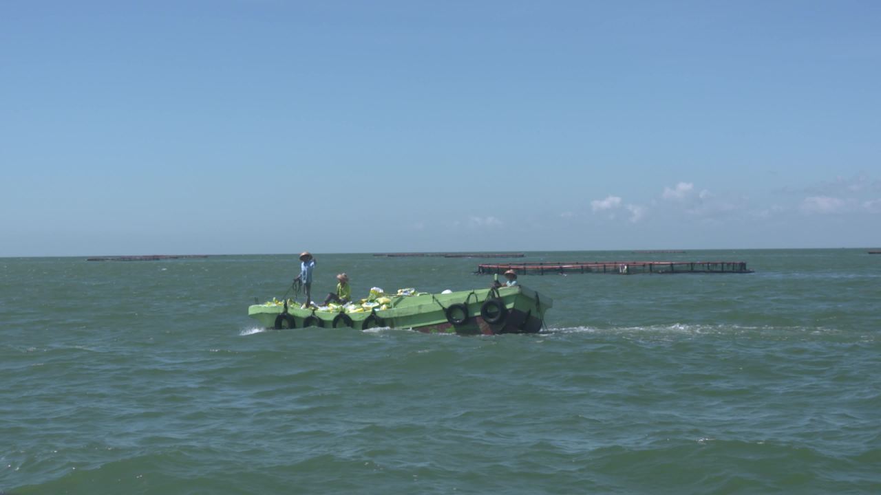 海洋牧场深海养殖