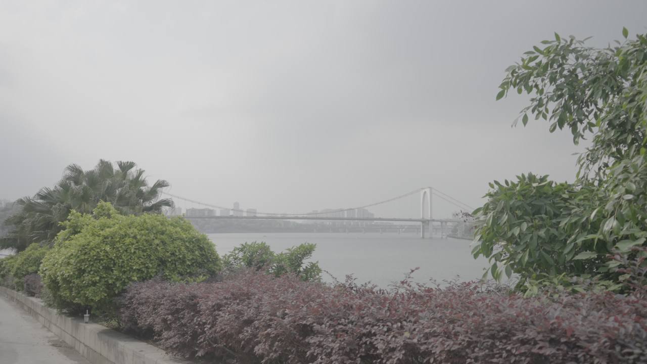 游船 6