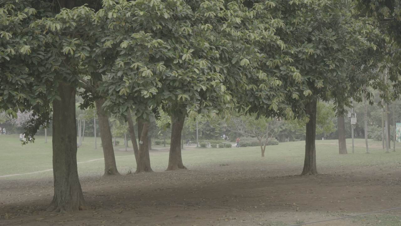 龙潭公园 29