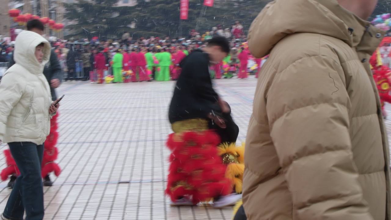 雪中舞狮庆佳节