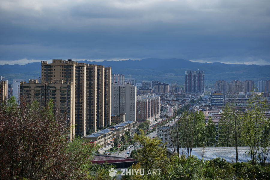 朱鹮梨园景区 10