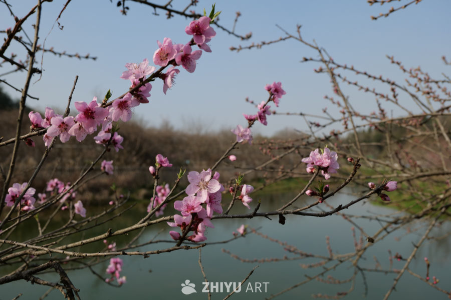 景区一角 54