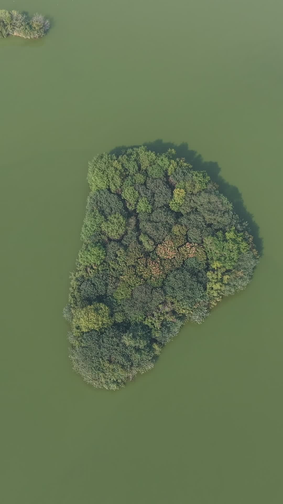 湖中小岛的宁静之美