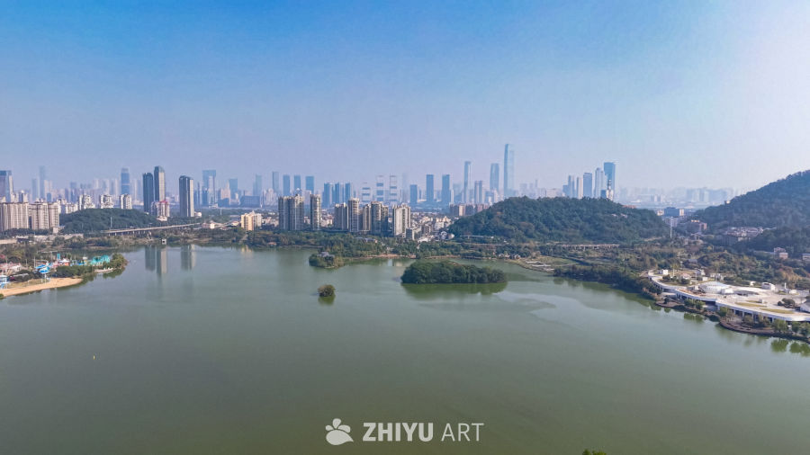 湖畔城市全景