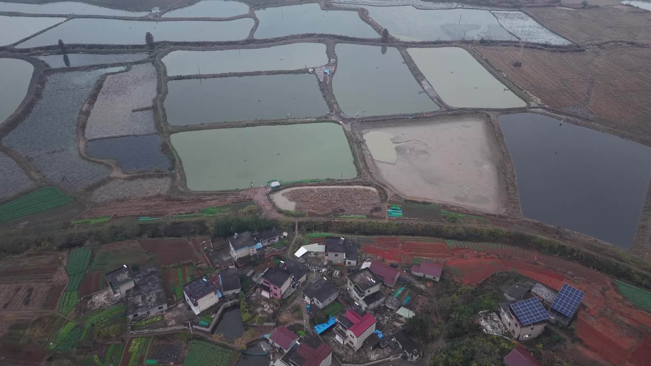 乡村鱼塘全景