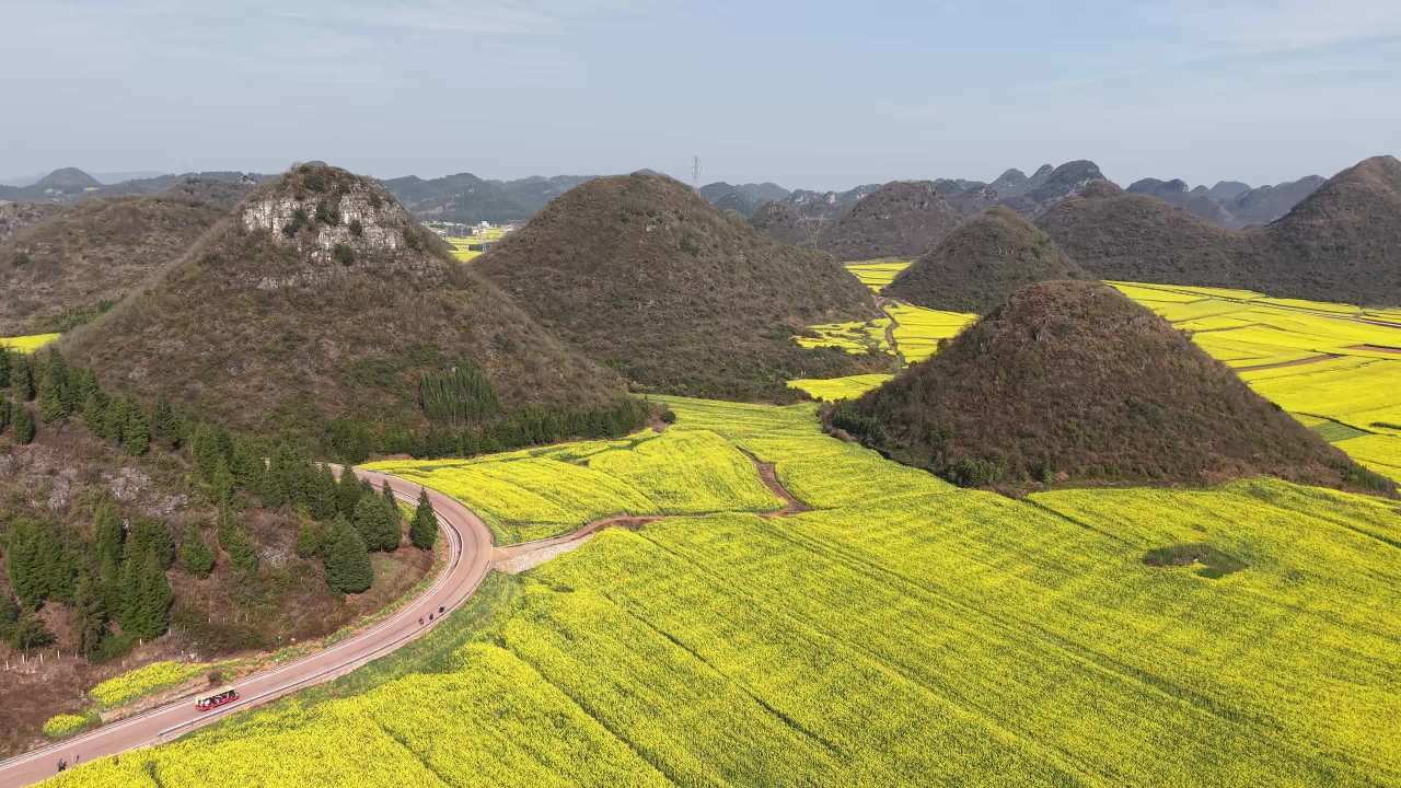 油菜花海中的山间小路